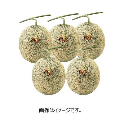 36_5ko_melon_dosanko