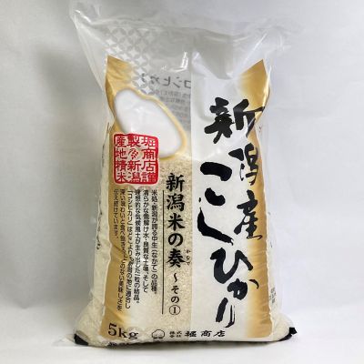 ＜北野エース＞＜堀商店＞新潟米の奏　新潟産　こしひかり　５ｋｇ