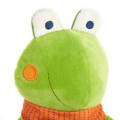 かえるのアクティビティトイ