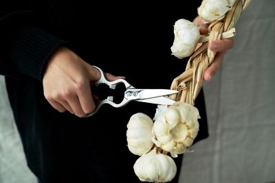 ZWILLINGおまとめ】クラシック料理ばさみ サテン | ZWILLING