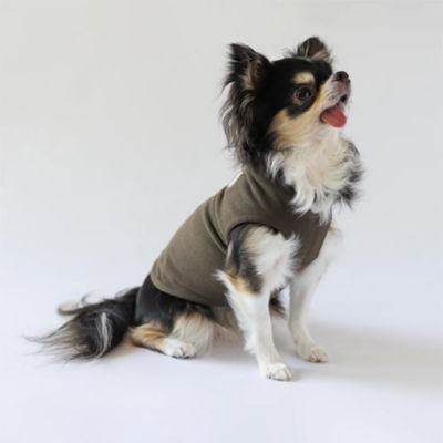 ＜Paddy by WAFONA＞ｄｙｔｅｍ　”ｐａｌｍ”　Ｃｈｏｃｏｌａｔｅ　Ｂｒｏｗｎ