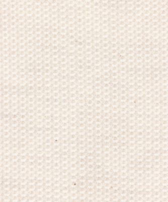 大勝利 4526660055113cl_02?$VS_1500$