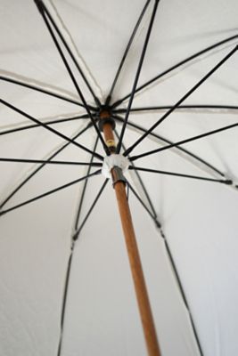 リバーレース　日傘　５０ｃｍ×１０本骨　ホワイト