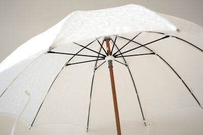 リバーレース　日傘　５０ｃｍ×１０本骨　ホワイト