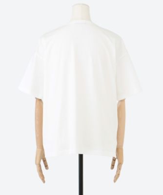 天竺Ｔシャツ　プラスサイズ