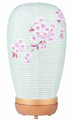 ☆【産直】翠風 10把桐箱入 | 京都/山田松香木店/ヤマダマツコウボク