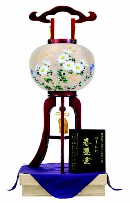 楽天市場】岐阜 提灯 桔梗の通販