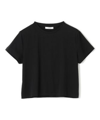 SCEARN (Women)/セアン ＣＯＴＴＯＮ　ＪＥＲＳＥＹ　ＴＳＨＩＲＴ　ＫＫＳＮＧＭ０２０１