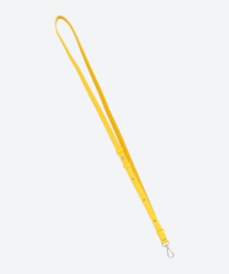 ＳＴＲＡＰ