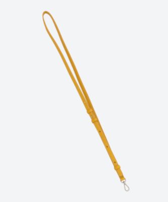 ＳＴＲＡＰ