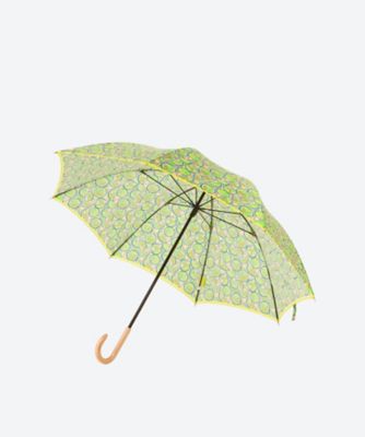 雨傘長　ライム　３３３６０１１１２７－１