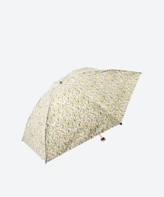 ＜MACKINTOSH PHILOSOPHY (Women)＞ポリエステル３０／５０デニール　ＳｎｏｗｂｌｕｅＧａｒｄｅｎ　２２４３１１２１４７―３