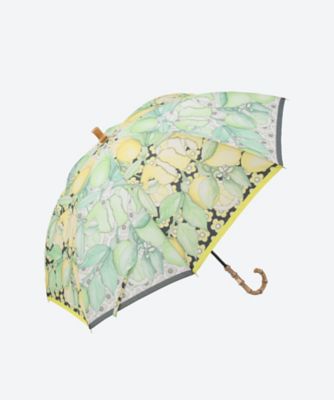 ＜SWASH LONDON＞ポリエステル　３０／５０デニールタフタ　インクジェットコマ合わせ　Ｃｉｔｒｕｓ　２１－１１６－１１３２９－１