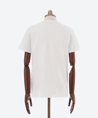 Aquascutum. 半袖 Aquascutum｜Stripe Band Collar Short Sleeve Shirt | Rakuten