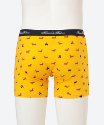 ボクサーパンツ 前開き ドッグ 1113636603 | Brooks