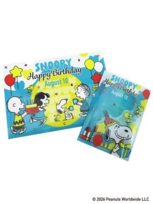 SNOOPY誕生祭 ファイルセット（A5パタパタ＋A4） | STS