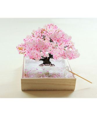 toumei (Women)/トウメイ ミニｂｏｎｓａｉ　桜