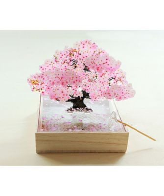 ミニｂｏｎｓａｉ 桜 | ファッション・服 | 三越伊勢丹オンライン