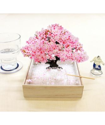 ミニｂｏｎｓａｉ　桜