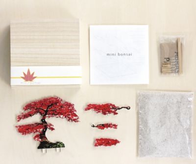 ミニｂｏｎｓａｉ　紅葉