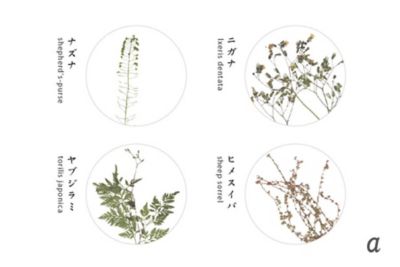 押花コースター