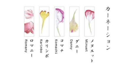 押花箸置き　カーネーション