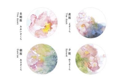 あわいろコースター４枚セット（桜）