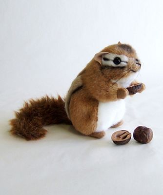 KOESEN (Baby&Kids)/ケーセン シマリス