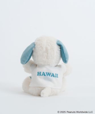 JOE SURFER DOLL | SNOOPY'S SURF SHOP/スヌーピー