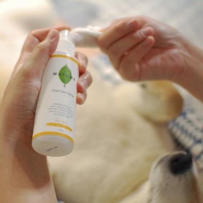 ＷＡＦＯＮＡ　オーラルケアスプレー詰替え４０００ｍｌ