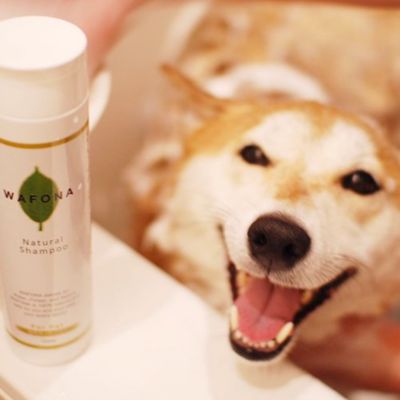 ＷＡＦＯＮＡ　自然派シャンプー詰替え２０００ｍｌ