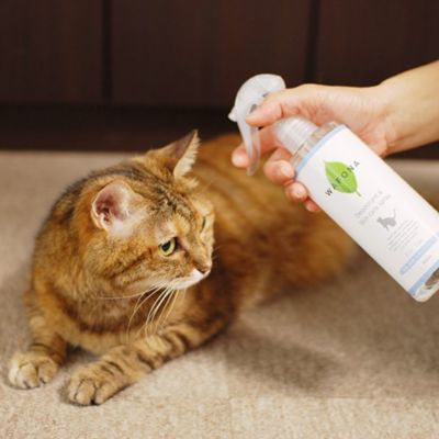 ＷＡＦＯＮＡ　猫用オールインワンスプレー　３００ｍｌ＋付替え３００ｍｌセット