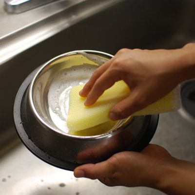 ＷＡＦＯＮＡ　猫用食器洗剤　５００ｍｌ＋詰替え２０００ｍｌセット