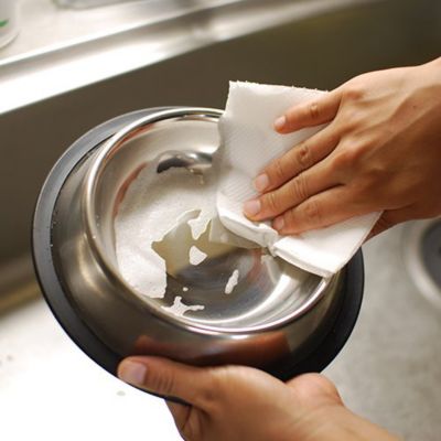 ＷＡＦＯＮＡ　猫用食器洗剤　５００ｍｌ＋詰替え２０００ｍｌセット