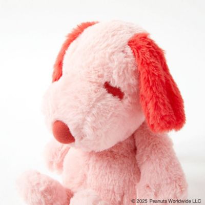 ＰＥＡＮＵＴＳ　ＨＯＴＥＬ　”Ｈａｐｐｉｎｅｓｓ　ｉｓ　ａ　ｗａｒｍ　ｐｕｐｐｙ．．”　＜ＲＯＯＭ６４＞