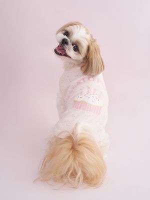 gelato pique (Women)/ジェラート ピケ【CAT & DOG】スムーズィーカップケーキジャガードプルオーバー PNK ペット用品【三越伊勢丹/公式】