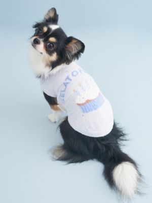 ＜gelato pique (Women)＞【ＣＡＴ＆ＤＯＧ】【Ｂｉｒｔｈｄａｙ】スムーズィーカップケーキジャガードプルオーバー