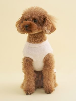 CAT＆DOG】【Birthday】スムーズィーカップケーキ