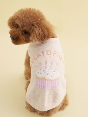 CAT＆DOG】【Birthday】スムーズィーカップケーキ