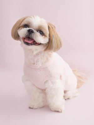 CAT＆DOG】【Birthday】スムーズィーカップケーキ
