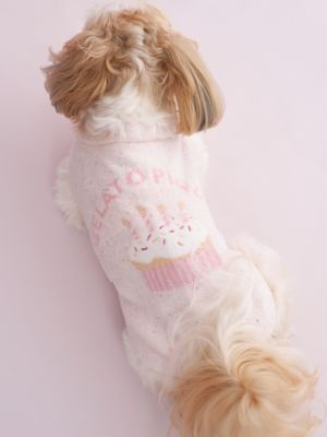 CAT＆DOG】【Birthday】スムーズィーカップケーキ