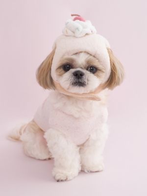 【gelato pique】【CAT＆DOG】スムーズィープルオーバーSサイズ gelato pique（ジェラートピケ）【CAT&DOG】【販路限定商品】スムー