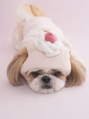 CAT＆DOG】【Birthday】スムーズィーカップケーキ