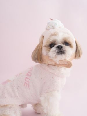 CAT＆DOG】【Birthday】スムーズィーカップケーキ