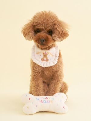 ＜gelato pique (Women)＞【ＣＡＴ＆ＤＯＧ】【Ｂｉｒｔｈｄａｙ】ボーントイ