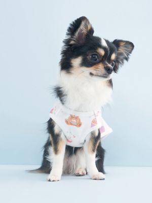 CAT＆DOG】【Birthday】バースデー柄プルオーバー