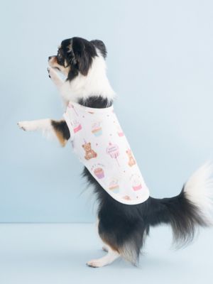 CAT＆DOG】【Birthday】バースデー柄プルオーバー