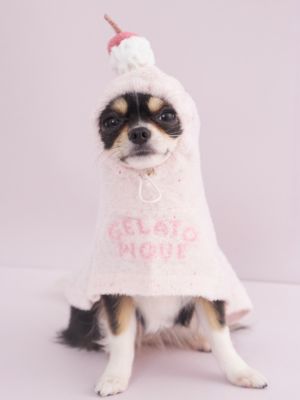 gelato pique (Women)/ジェラート ピケ【CAT & DOG】スムーズィーケープ PNK ペット用品【三越伊勢丹/公式】