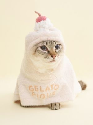 CAT＆DOG】【Birthday】スムーズィーケープ | gelato