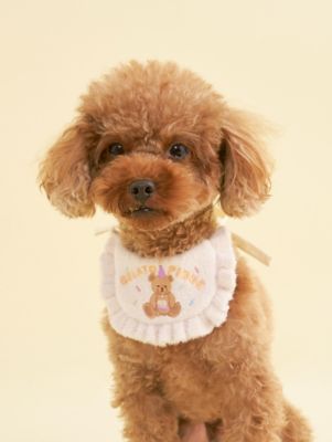 gelato pique (Women)/ジェラート ピケ【CAT & DOG】スムーズィーバースデースタイ CRM ペット用品【三越伊勢丹/公式】